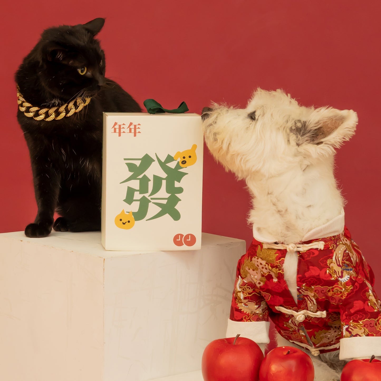 Chinese New Year Pawsperity Box