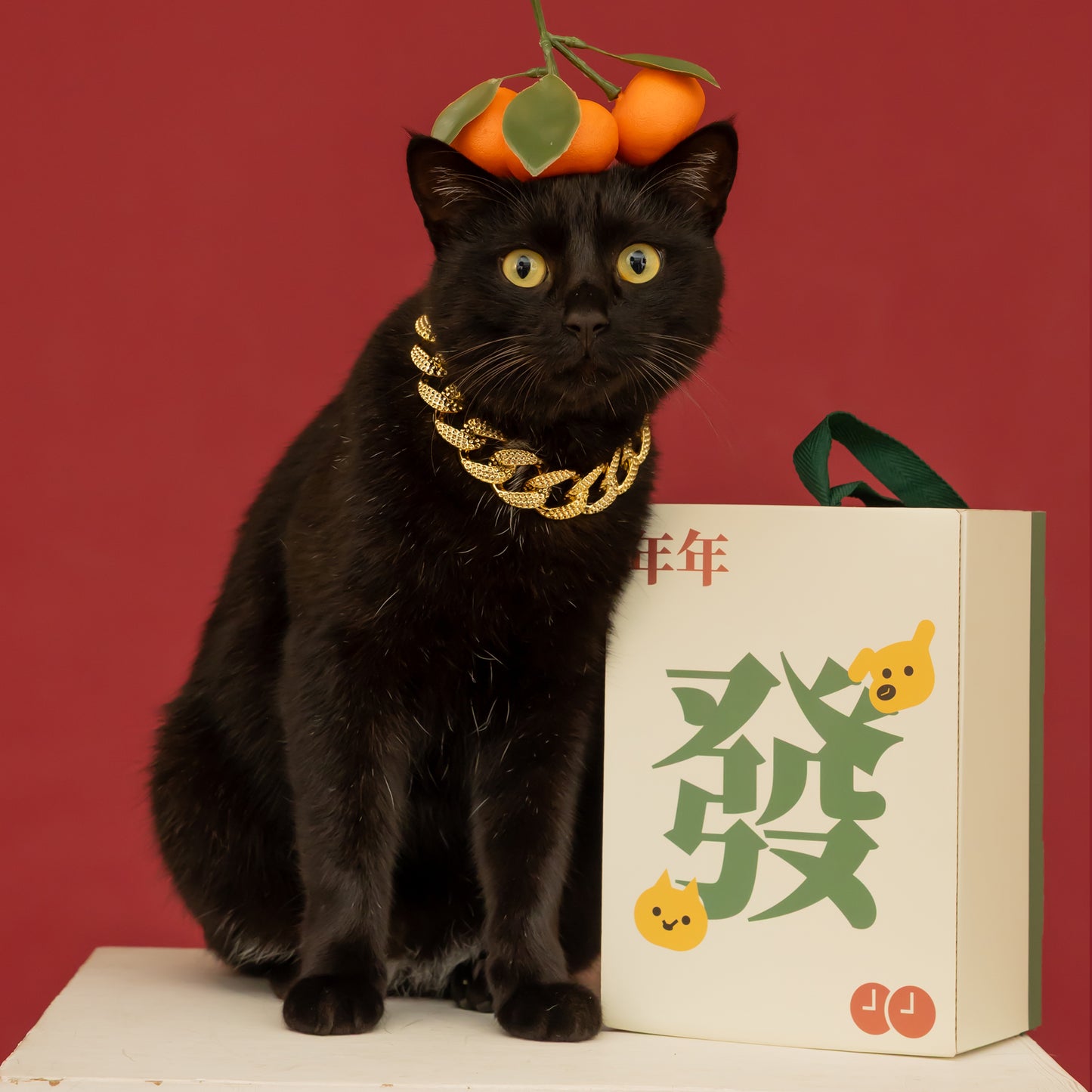 Chinese New Year Pawsperity Box
