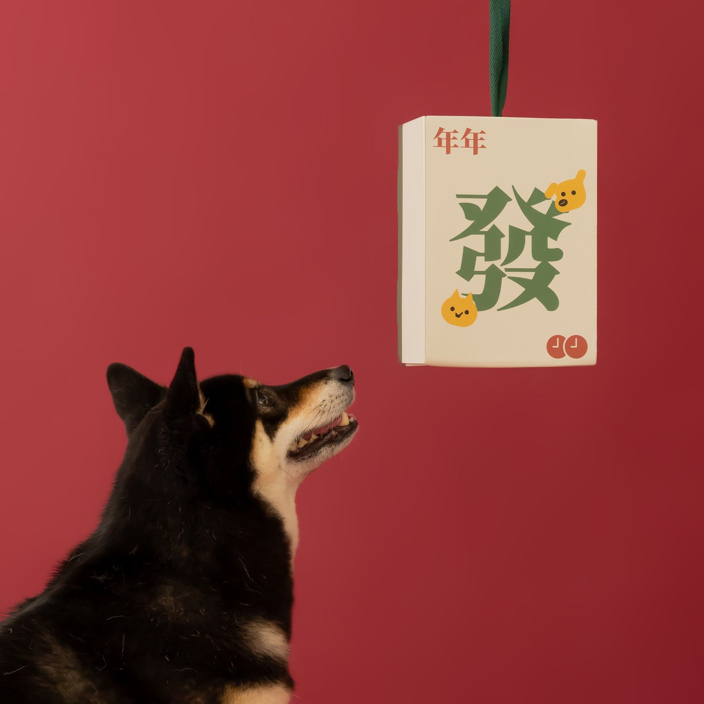 Chinese New Year Pawsperity Box